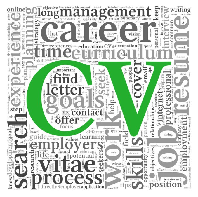 curriculum vitae